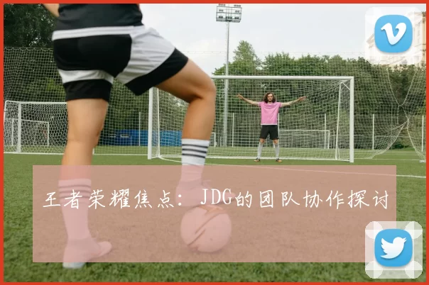 王者荣耀焦点：JDG的团队协作探讨