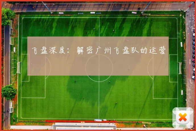 飞盘深度：解密广州飞盘队的运营