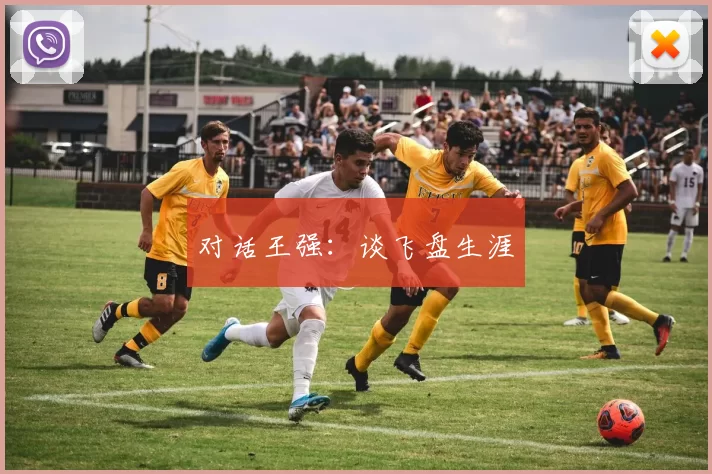 对话王强：谈飞盘生涯