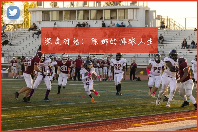 深度对话：陈娜的排球人生