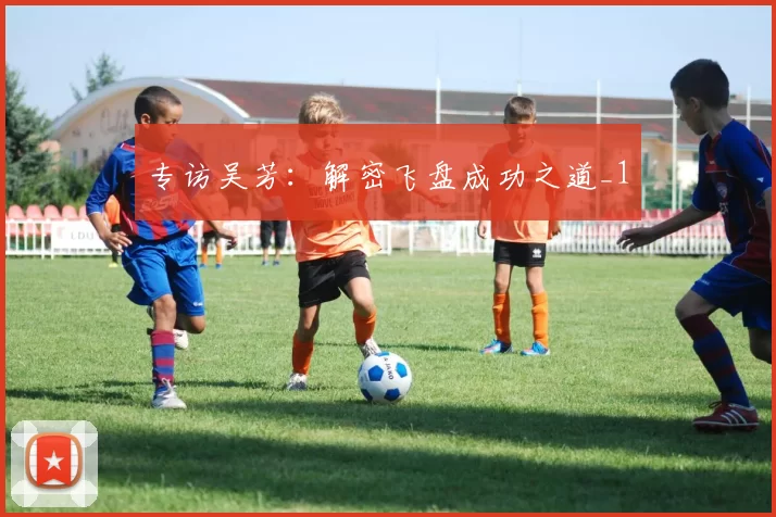 专访吴芳：解密飞盘成功之道_1