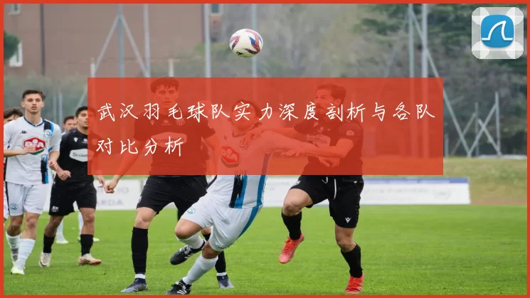 武汉羽毛球队实力深度剖析与各队对比分析