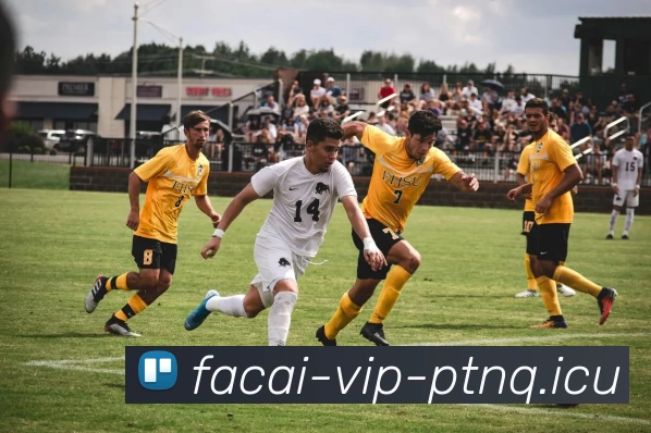 成都足球队耐力变革引发热议展望未来发展新方向